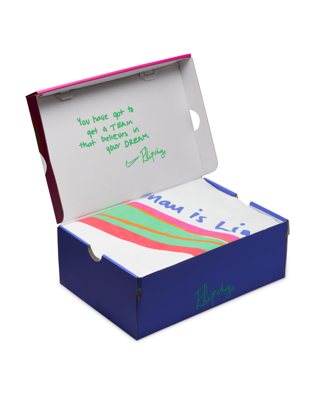 Men's Nike Vaporfly Next% 4 EK