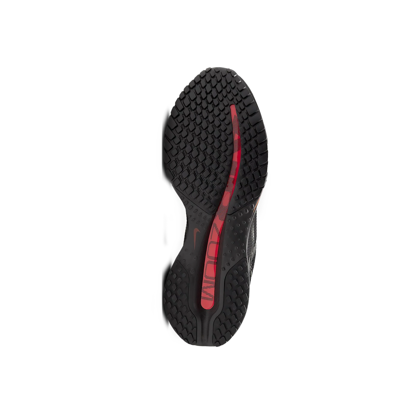 Women's Pegasus Premium