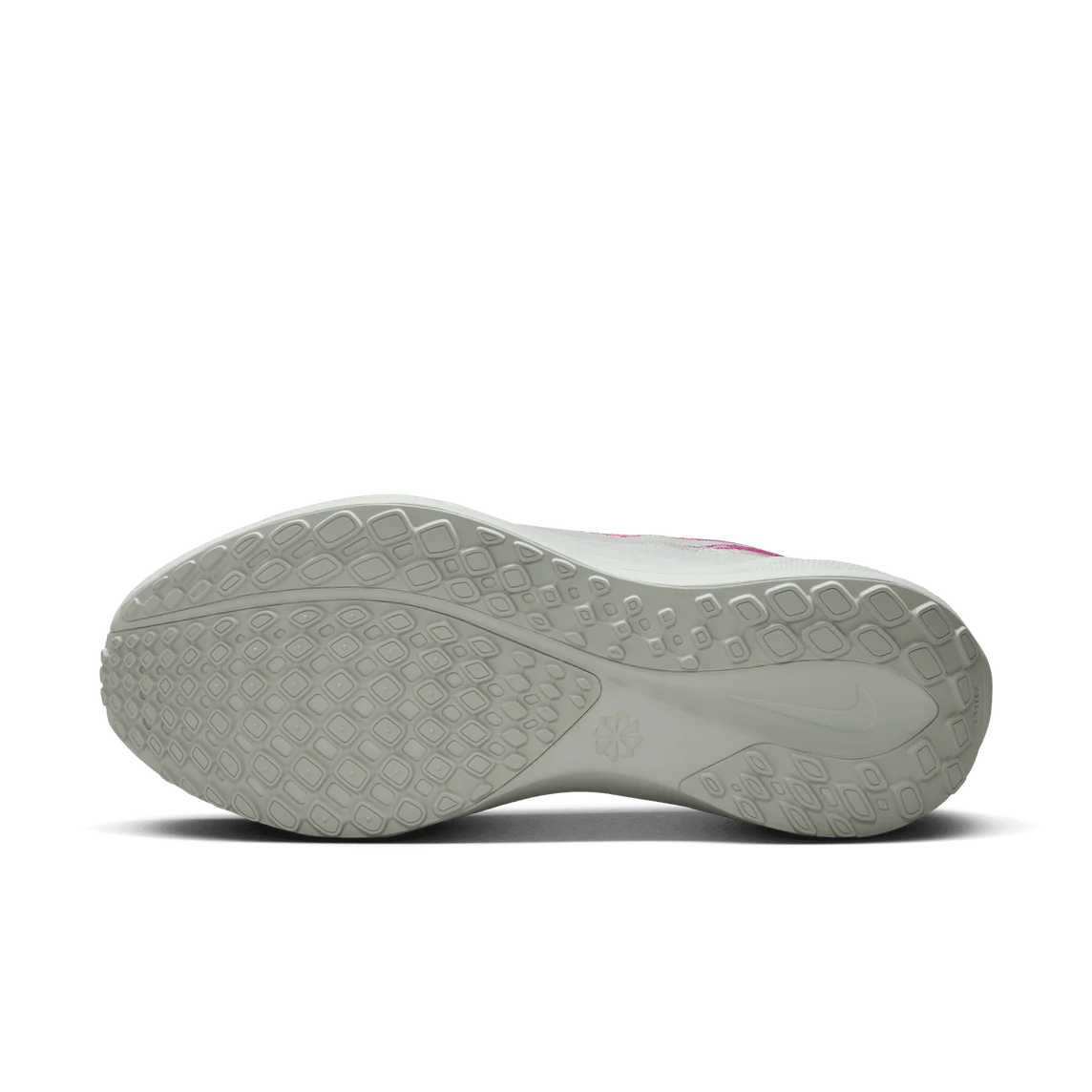 Women's Pegasus 41 Premium