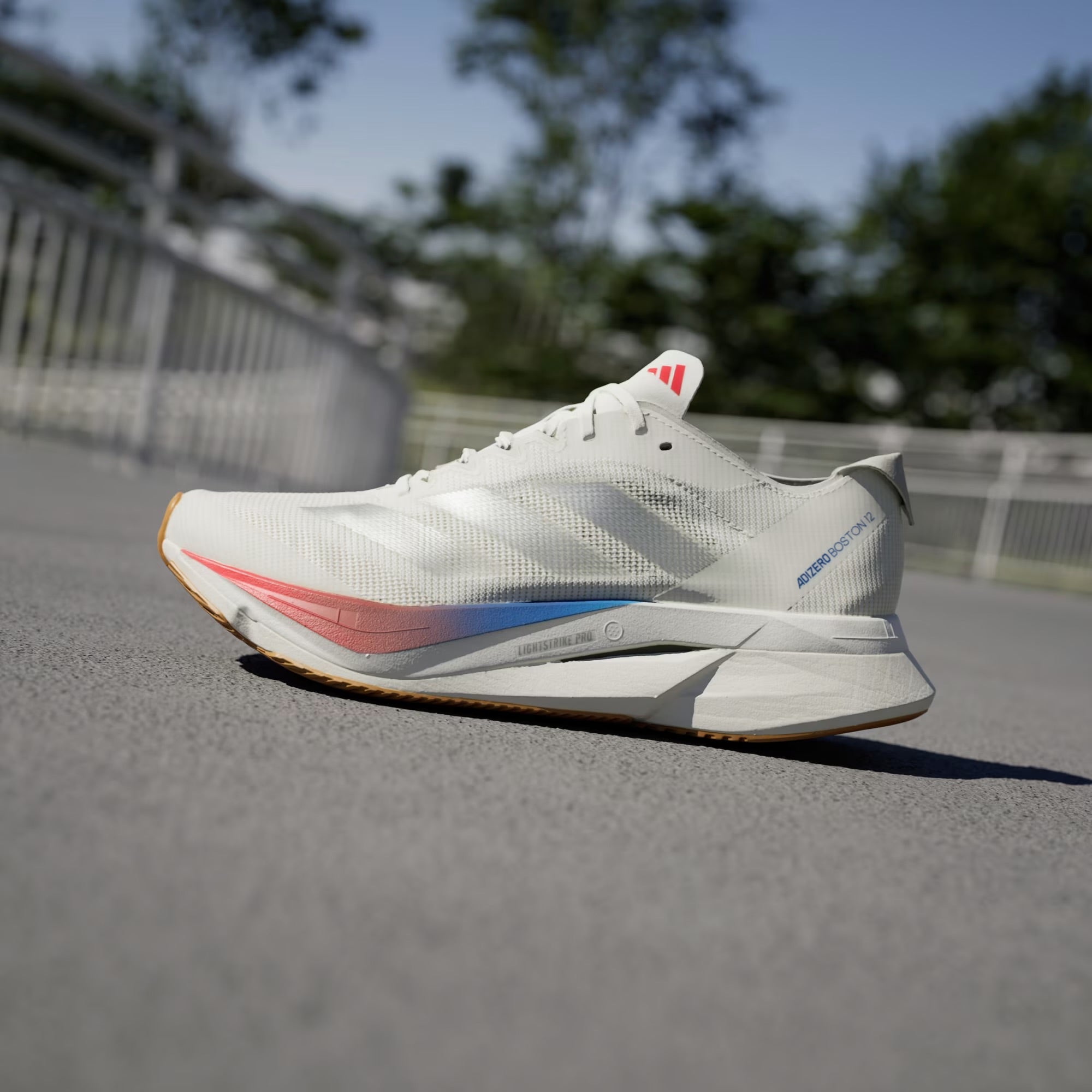 Women's adidas Adizero Boston 12