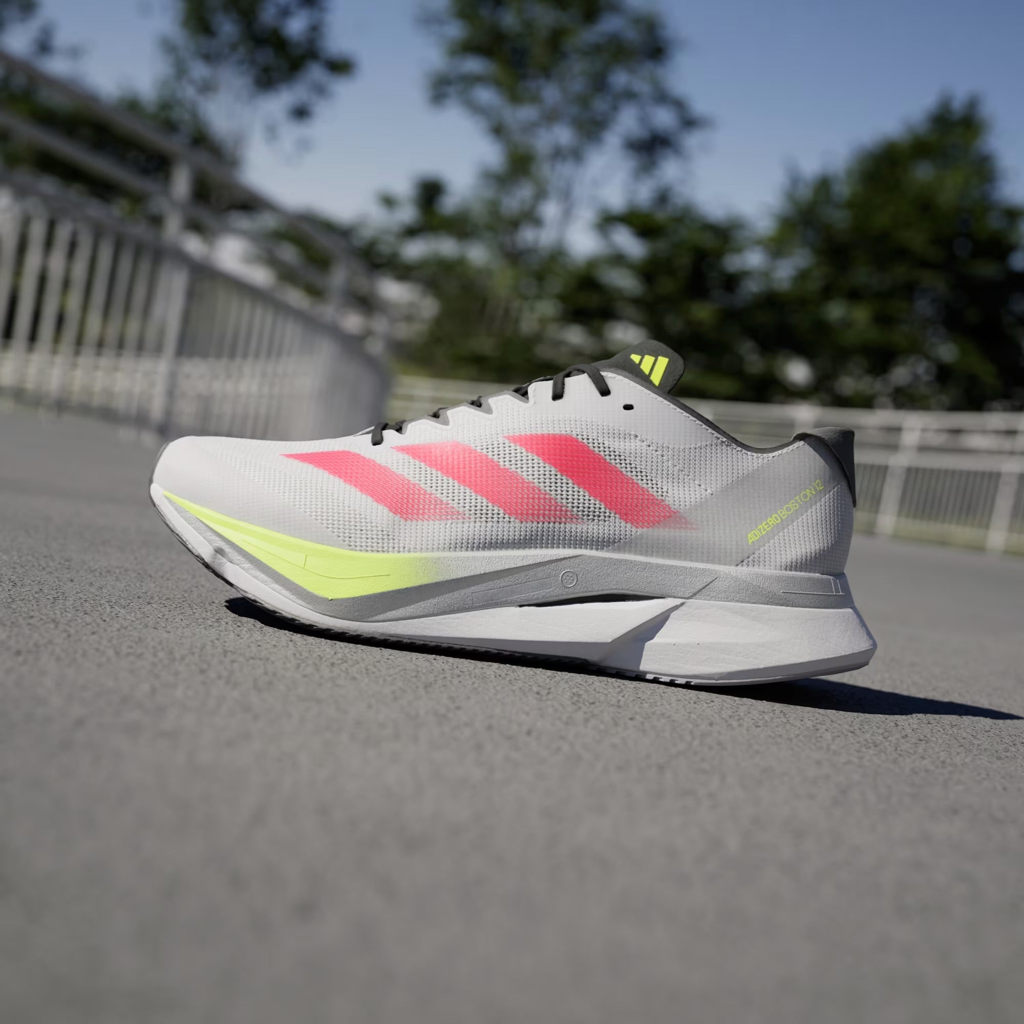 Men's adidas Adizero Boston 12