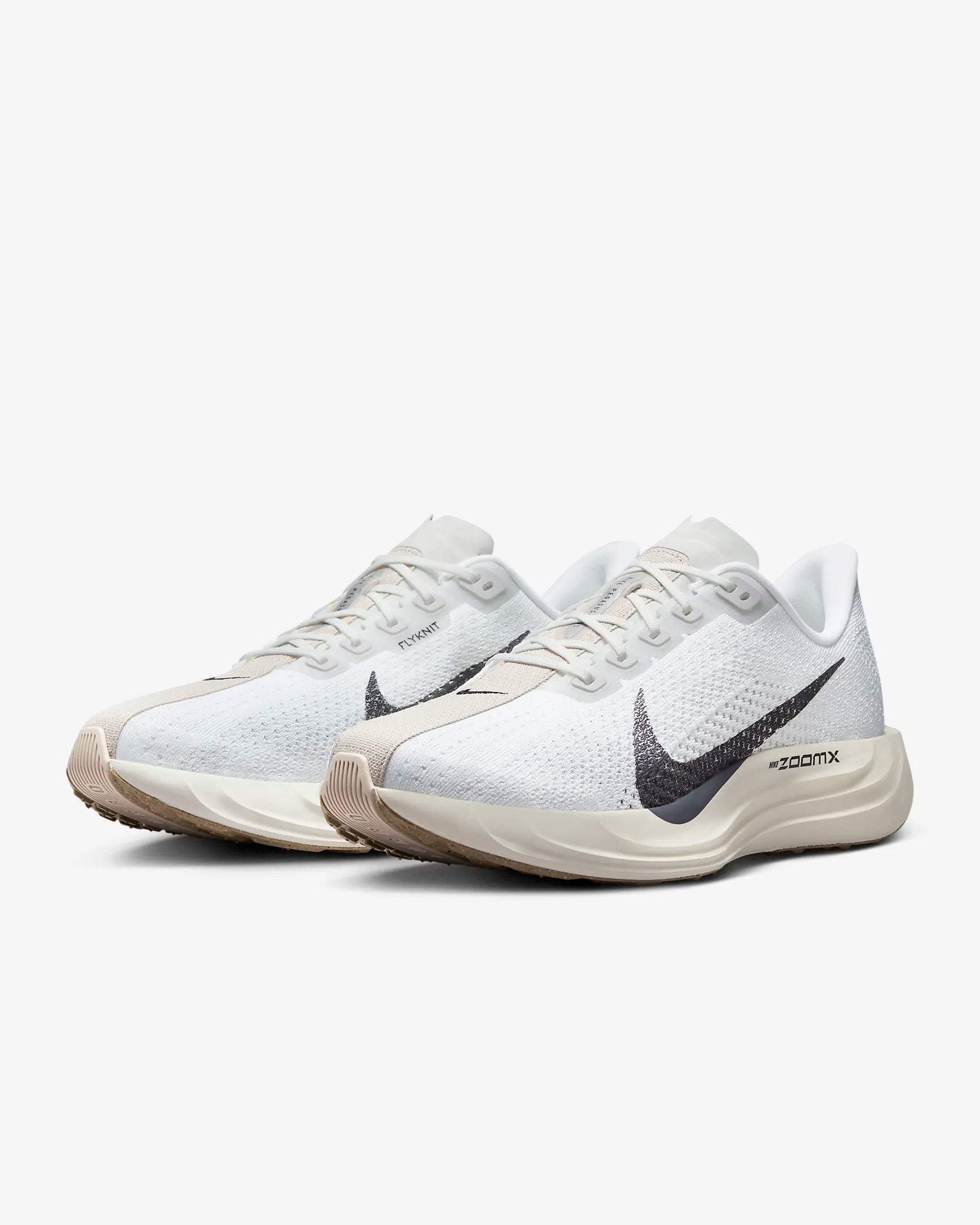 Men's Nike Pegasus Plus