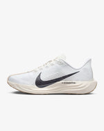 Men's Nike Pegasus Plus