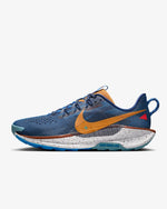 Men's Nike Pegasus Trail 5