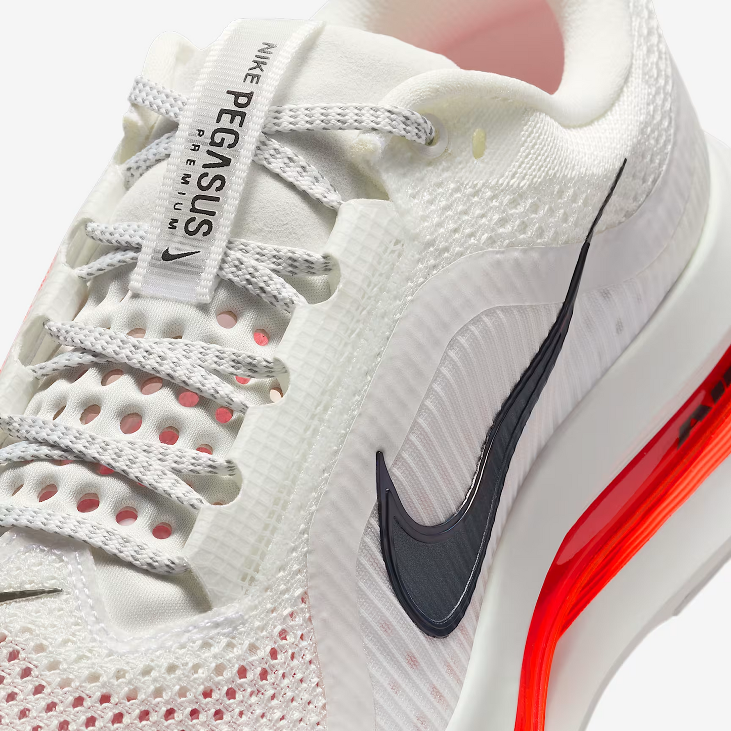 Men's Pegasus Premium