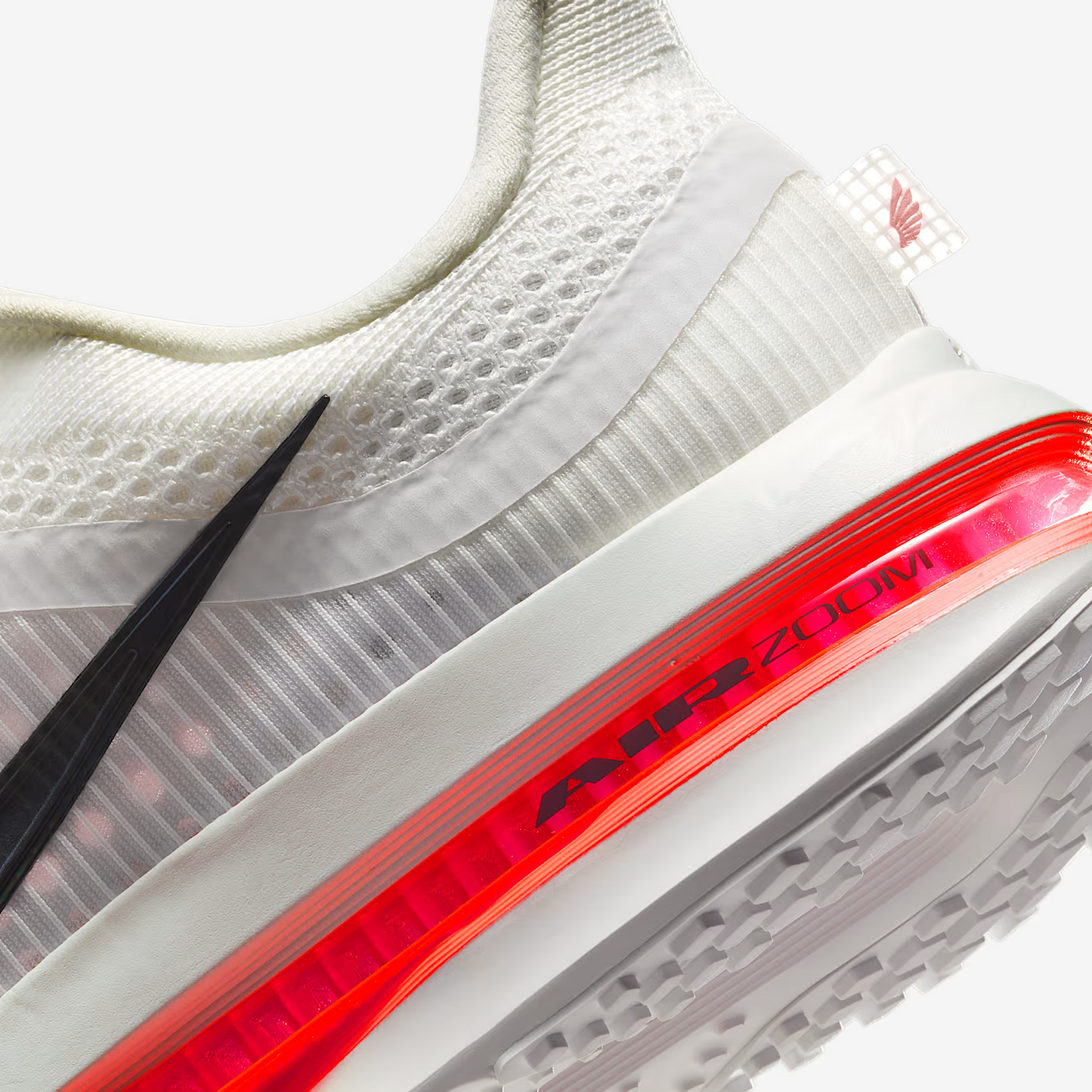 Men's Pegasus Premium