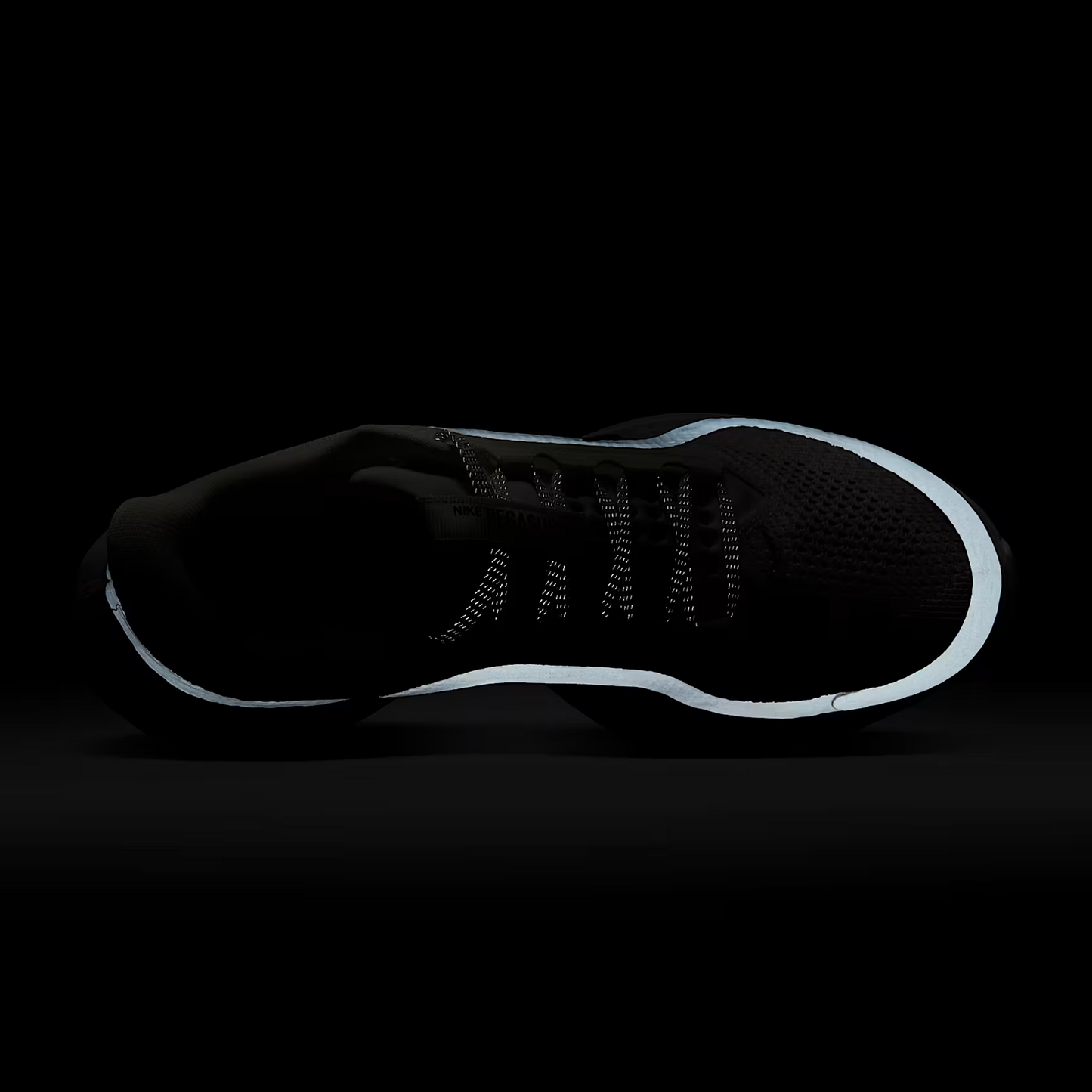 Men's Pegasus Premium
