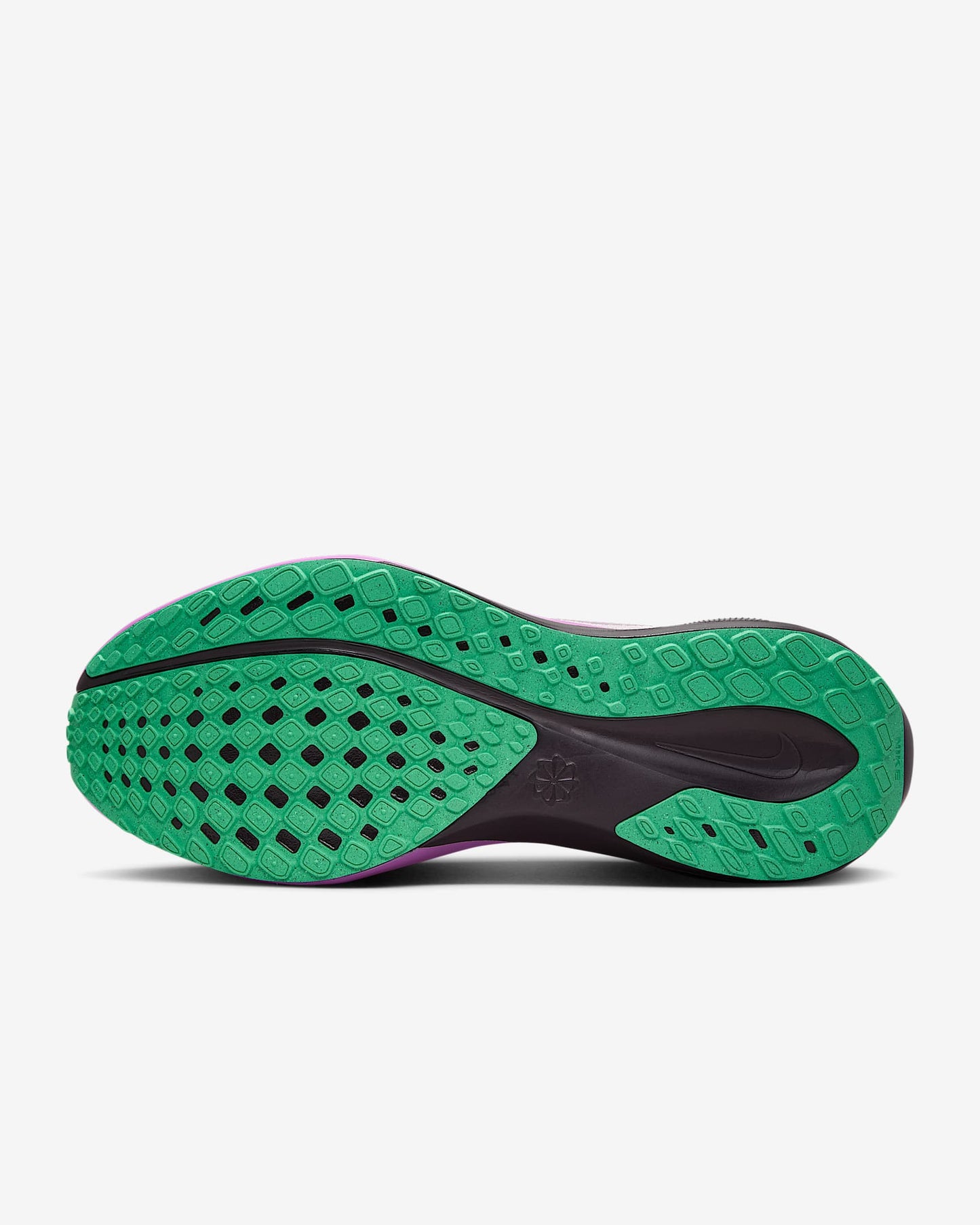 Women's Pegasus 41