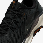 Men's Nike Pegasus Trail 5