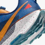 Men's Nike Pegasus Trail 5