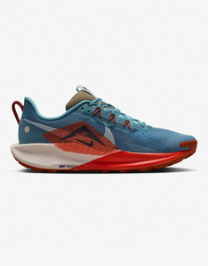 Men's Nike Pegasus Trail 5