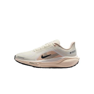 Women's Nike Pegasus 41 GTX