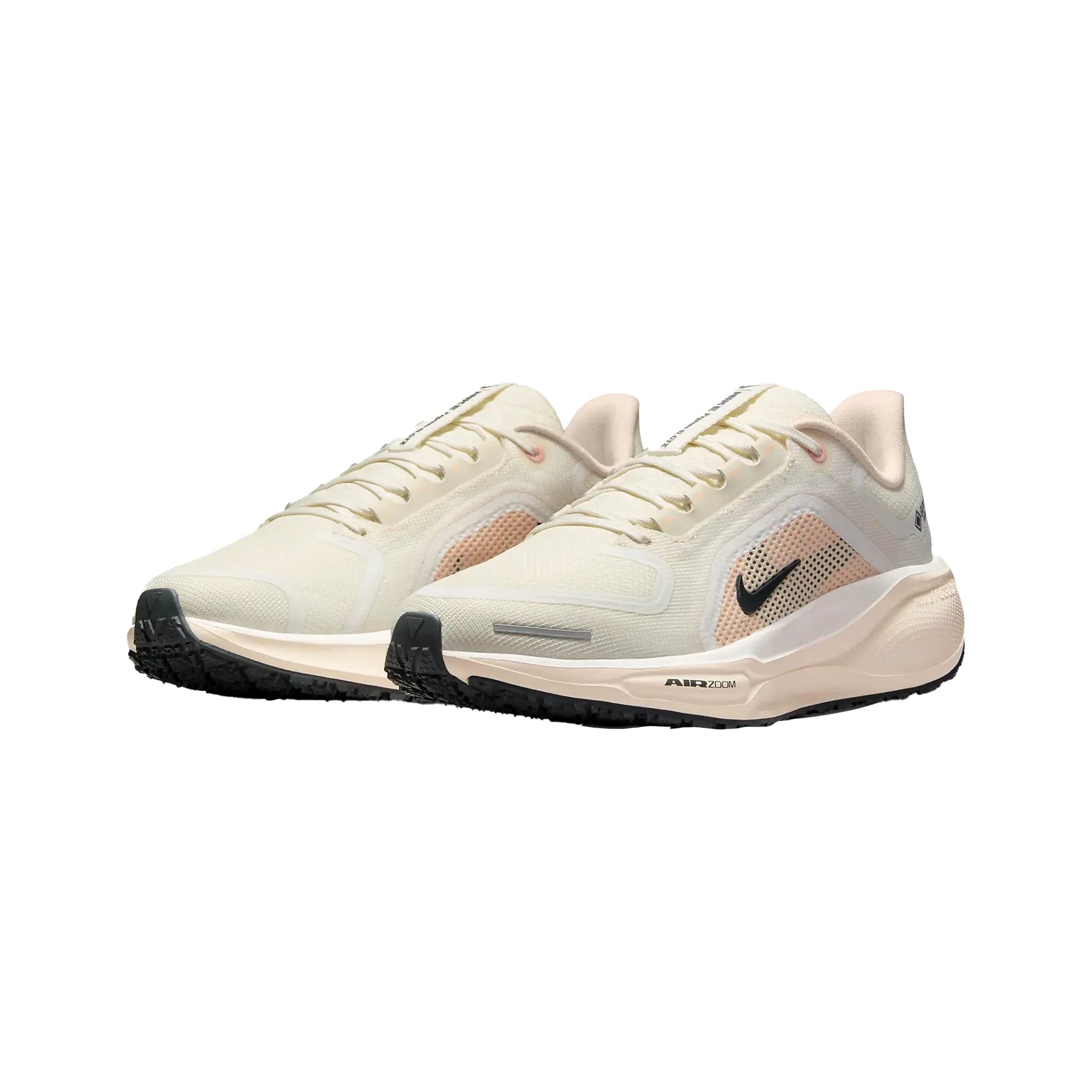 Women's Nike Pegasus 41 GTX