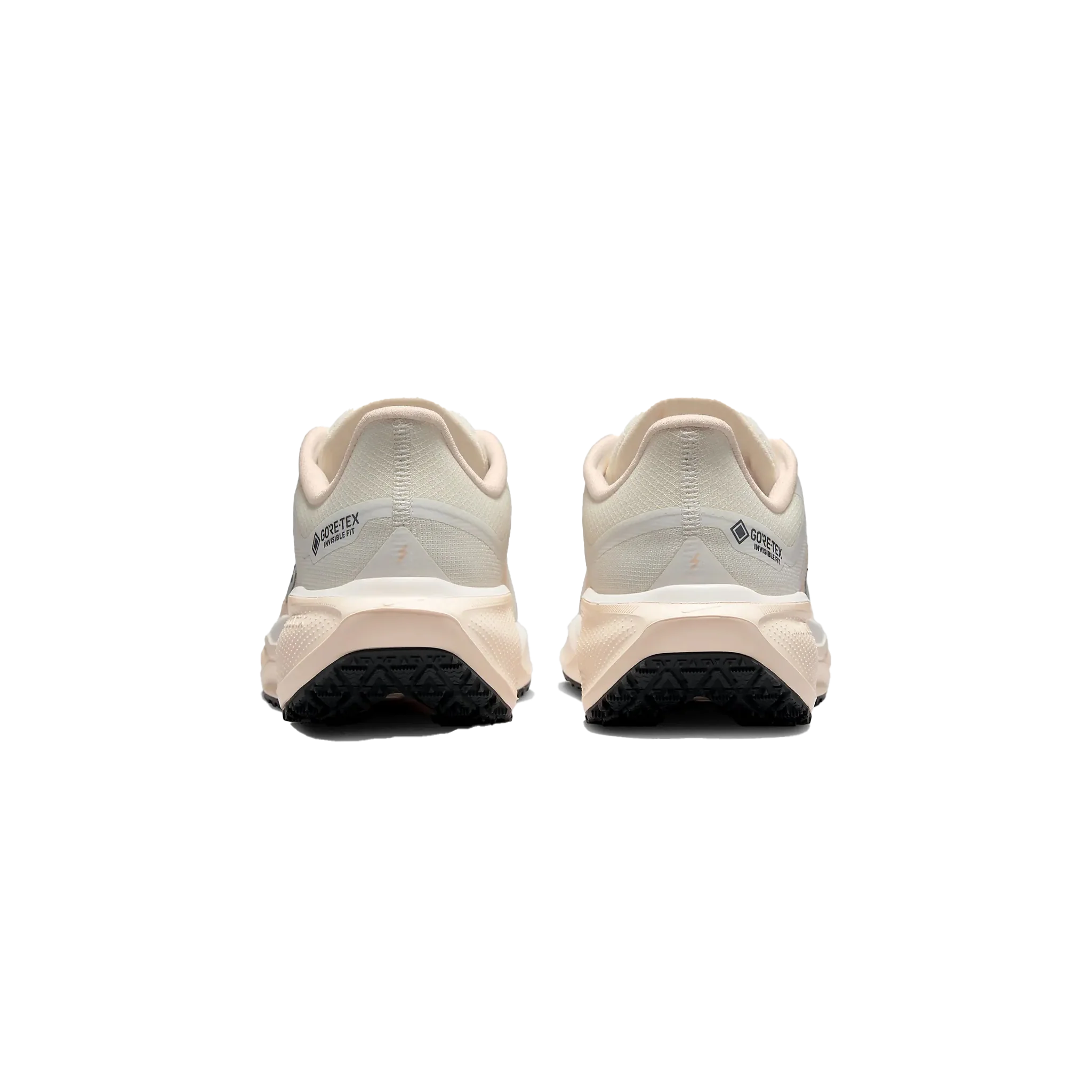 Women's Nike Pegasus 41 GTX
