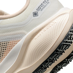 Women's Nike Pegasus 41 GTX