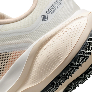 Women's Nike Pegasus 41 GTX