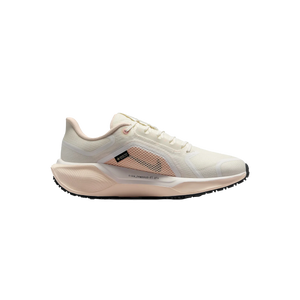 Women's Nike Pegasus 41 GTX