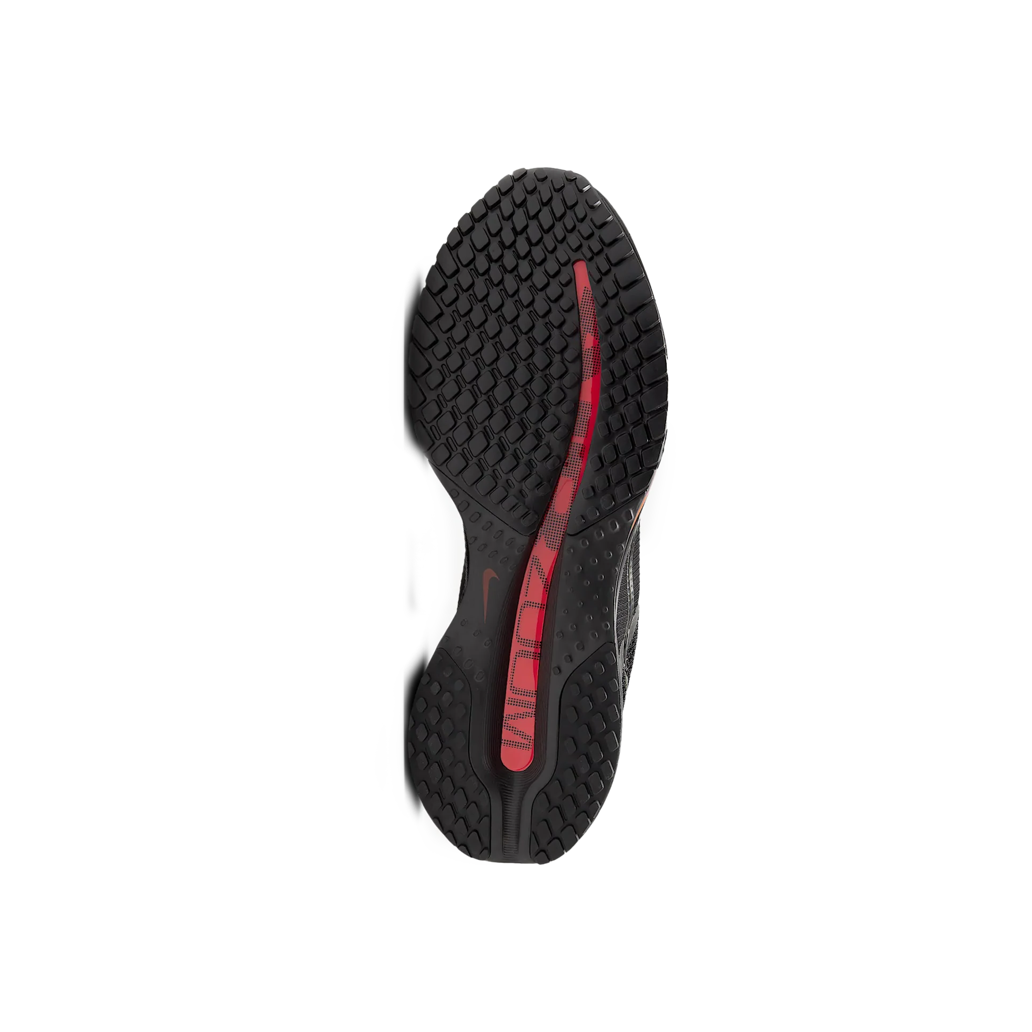 Women's Pegasus Premium