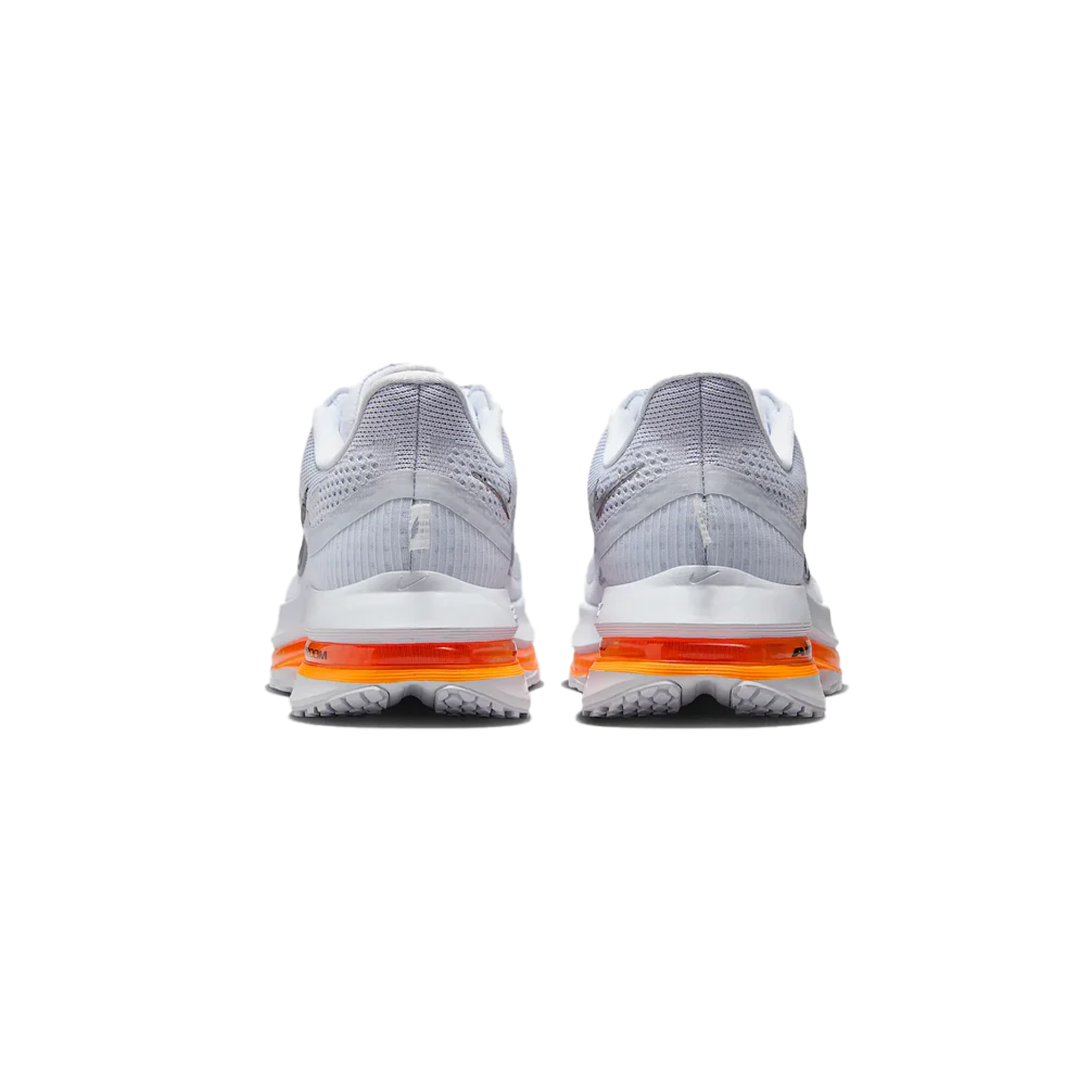Women's Pegasus Premium